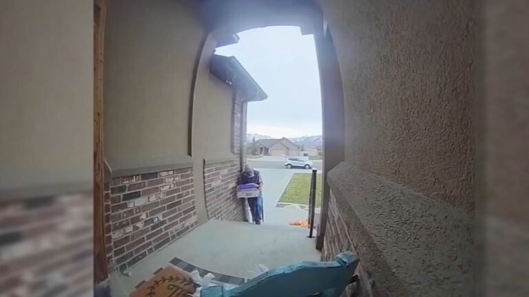 Security Camera Captures Surprising Act of Kindness by a Delivery Driver